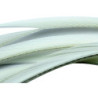 Oca biots quills