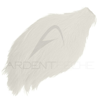 Collo di gallo tinto (rooster neck)