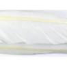 Oie plume d´aile