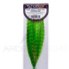 Fibra grizzly MI40 DEVAUX