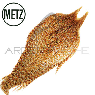 Cous de coq METZ grade 2