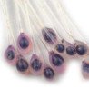 Occhi epoxy di granchio