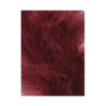 Tintura Veniard