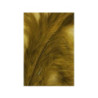 Tintura Veniard