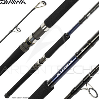 Canna spinning DAIWA Saltiga air portable 23