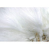 Marabù piume quill