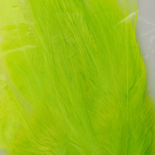 Saddle Feathers