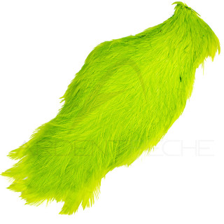 Cou de coq teinté ( rooster neck)