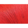 Daino belly hair