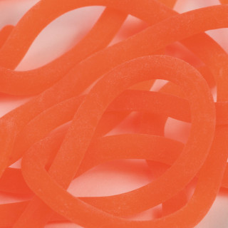 Caster's Squirmito Worm