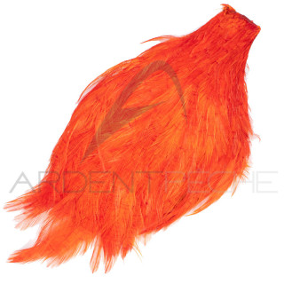 Cou de coq teinté ( rooster neck)