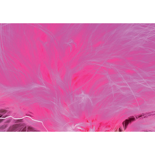 Marabout plumes quill