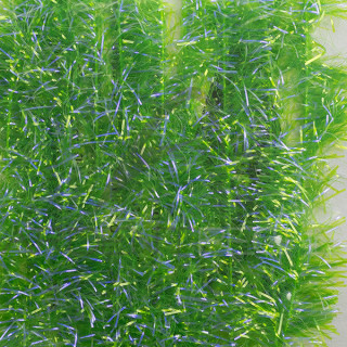 Plush Chenille 15 mm Semperfli