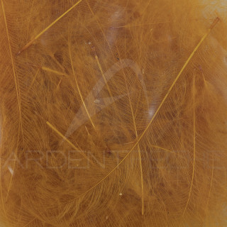 Cul de canard 54 DeanStreet super select