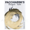 Dragon Tails PACCHIARINI'S XXL