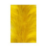 Tintura Veniard