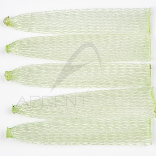 Crab Body EP SOFT SHELL CRAB BODY