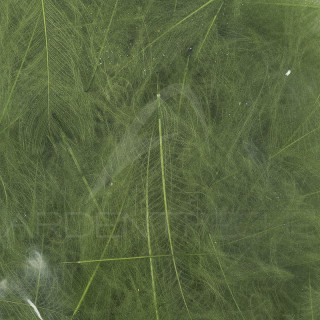 Cul de canard 54 DeanStreet super select