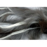 Zonker coniglio standard 3mm