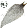 Colli di gallo METZ grade 3