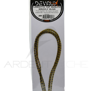 DEVAUX Top Quality Cock Hackle Points