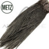 Gropponi di gallo METZ grade 2