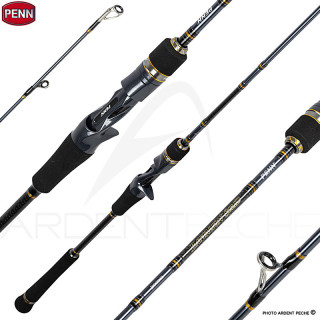 Canne casting PENN Battalion solid jig