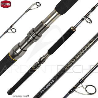 Canna spinning PENN Battalion solid tuna broumé
