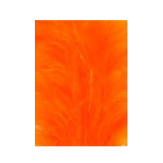 Tintura Veniard