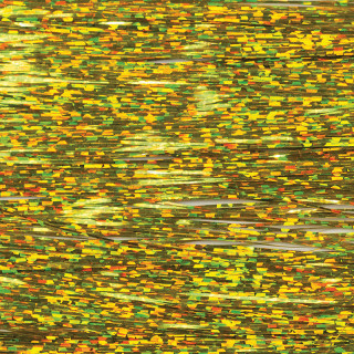 Flashabou predator holographique