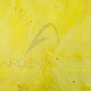 Cul de canard sfuso AB FLY 1gr