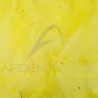 Cul de canard sfuso AB FLY 1gr