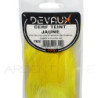 Cervo DEVAUX