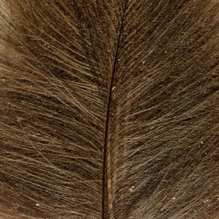 Cul de canard DEVAUX super select