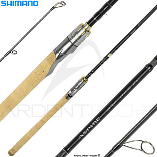 Spinning rod SHIMANO Aspire sea trout