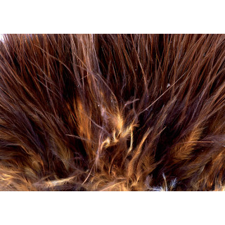 Marabou quill feathers