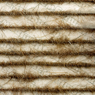 Dubbing brush Ninfa ceca