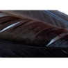 Turkey dyed wing feathers