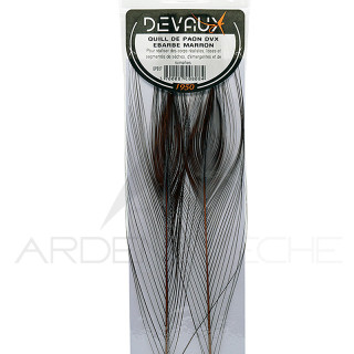 Quill di pavone sbarbati DEVAUX