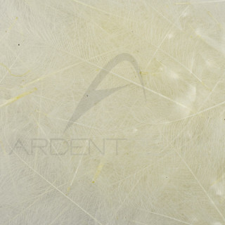 Cul de canard 54 DeanStreet super select