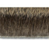 Daino fine e corto