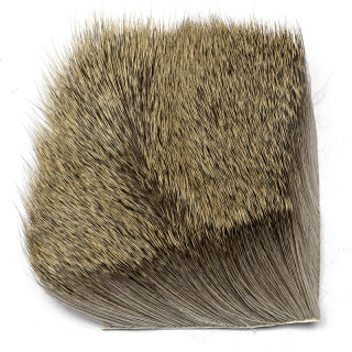 Roe Deer on Skin Polish Quill