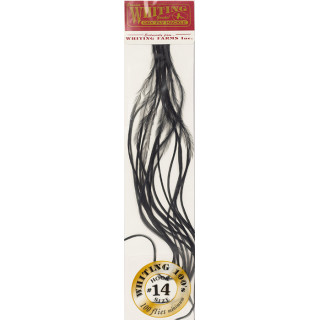 WHITING 100 Saddle Feathers