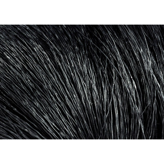 Daino belly hair
