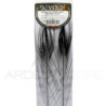 Quill di pavone sbarbati DEVAUX