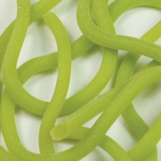 Caster's Squirmito Worm