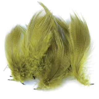 Duck flank feathers