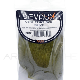 Cervo DEVAUX