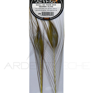 Quill di pavone sbarbati DEVAUX
