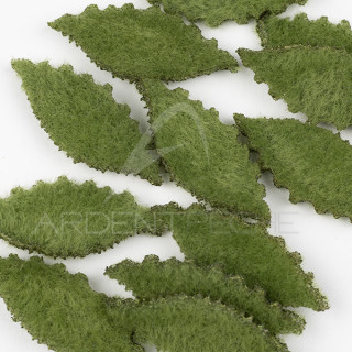 Crab Body EP FLEEING CRAB BODY small